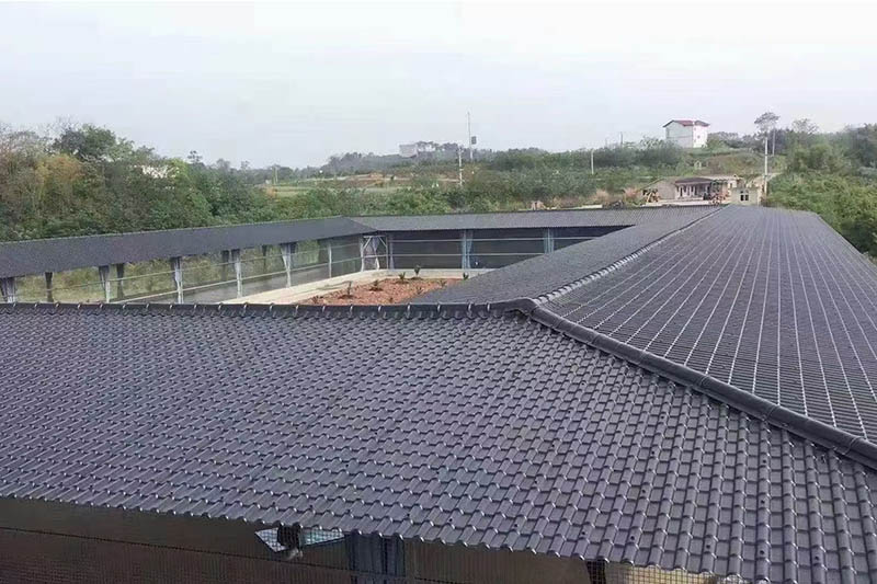 กรณีโครงการ